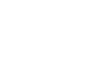 Recording King